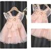 Платья девочек, маленькие девочки одеваются летние розовые милые подтяжки + крылья, европейский американский стиль элегантный сетчатый платье принцессы.