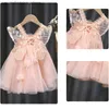 Abiti da ragazza BAMBINA Abito da bambina Summer Pink Cute Spesers + Wings European American Style Elegant Princess Mesh Dress Birthday Party Cesto Q240418