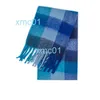 Sjaals nieuwe kleur ac check lus garen dikke vouw sjaal polyester lange tassel dog tailvqm4 ow6p