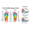 Masseur à double pied en bois Rollerfoot Shiatsu Reflexology for Relief Feetpain et Plantar Fascitismuscle Relax 240415