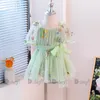 Robes de fille insins bébé filles roberie papillon broderie bodys nés vêtements de coton doux robe tutu petite