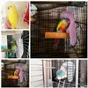 Warm Bird Hammock Shawl Nest Corner Parrot Blanket Windproof Pet Small Animal Hanging Tent Cage Decoration 240416