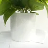 Decorative Flowers Realistic Appearance Small Fake Plants Look Just Like Real Thing Artificial For Home Decor
