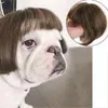 Trajes de gato Pet Wigs Cosplay Props Dog Dressing Hair Conjunto de cabelos Acessórios engraçados da cabeça Prank Supplies DIY
