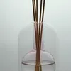 Vazen dubbele laag transparante diffuser met 10 geurstick Essentiële olie -olie -organizer kunst Hydroponische flesglas Glass Desktop Decor