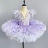 Scene Wear Dance Kjol Ballet Girl Little Swan Dancing Dress Catwalk Kindergarten Baby Tulle Tutu