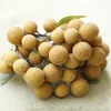 Party Decoration Artificial Longan Model Fruit Decor Fake Decorative Decorations Showcase Prop Simulated Adornment