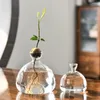 Vases Avocado Vase Transparent Glass Hydroponics Plant Seed Growing Kit Starter Bottle Gardening Lovers