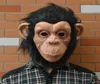 Halloween Mask Lovely Big Ear Diamond Full Face latex Monkey Mask environmentfriendly For Halloween Cosplay Party6866125