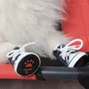 Abbigliamento per cani 4 pezzi di moda in tela in denim in tela in tela oblip-slip di piccoli e medi gatti traspiranti sneaker sneaker prodotti per animali domestici