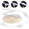 110V 220V COB LED -strip lampor CRI RA90 288LEDS/M flexibel utomhuslampa Vattentät LED -tejp EU Plug Kitchen Home Room Decoration