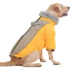 Vêtements pour chien Vêtements hiver