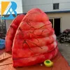 Bespoke Events Decorative Giant Inflatable Lung Replica for Exhibition Props