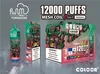 24 HR Expédition Boîte de fluc d'origine 12000 Puffs Puffs Cigarettes jetables E et affichage de 1,1 ohm Rechargeable 0% 2% 3% 5% V APE