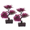 Fleurs décoratives 2 PCS Desktop Artificial Potted Office Dinning Table Decor Welcome Welcome Pine Bonsai Plastic Statue