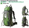Backpack Brand Classic 60L Quadro de viagem de qualidade Backpacks.waterproof Bag.