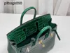 Top Cowhide Handbag Brkns Genuina in pelle Gloss Belly Crocodile 25 con Greenohnsgjo0 alla moda