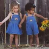 Sommer Kinder Denim Sets Stickerei Rainbow Baby Strampler Schwester Bruder Match Kleidung Mädchen Kleider 240327