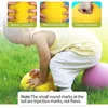 DIAMETER 242218CM SULT HÖG DENSITY FOAM SPORT BALL IN INHOOR MUTE BASKABALL Soft Elastic Ball Children Sport Toy Games 240418