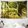 Audio Forest Trees Scenery Scenery Bird Bird Fiume Sunlight Wall sospeso in stile Bohémien Scene Decorazioni per la casa