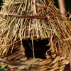 14stylar Birds Nest Bird Cage Natural Grass Egg House Outdoor Decorative Weaved Hanging Parrot House Pet Bedroom 240416