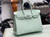 Designer Handmade 7a Handbag Bikns Genuine Leather Mist Face Crocodile Skin Mint Green 25Cm WomensOCP9