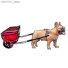 Randonnée pour animaux de compagnie à deux roues pour chiens pour petit dos parfait pour les activités Shoppin et les activités de plein air.