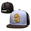 Chapeau à hommes mode Fashion Baseball Caps de baseball CHATS FACTES LETTRE SUMME SOBBACK SORNE SPORT EMPRODERIE CASQUETTE PLACE CHAPPORTS LUXEURS HAUTES MENSE L-11