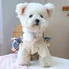 Roupas de vestuário de cachorro outono e inverno produtos xadrez de gato caroço casal de casal vestido pequeno cachorrinho kawaii