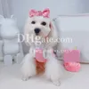 Luxury Brand Dog Hair Clips Designer Cat chien Princesse Bow Coiffure Coiffure Coiffure Schnauzer Pomeranian Bichon Puppy Beauty Hair Ornements