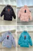 2022 Kids Down Coat Parkas Warm North Boys Ourwear Down Down Storable Girl Girl Downs Jacket Face Coats Vêtements 1388162