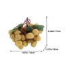 Party Decoration 2 PCS Artificial Longan Model Poshoot Props Decorative Fruit Ornament Fruits Plastic Lightweight