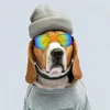 Dog Apparel Adjustable Eyewear Pet Glasses For Dogs Anti-uv Windproof Sunglasses Strap Medium To Large Protect