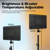 Kontinuerlig belysning Dual Color 2700K-5700K LED Fill Light Video Panel Photography Live Broadcast Photo Studio Light With Bracket EU Plug Y240418