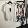 Impresión de letra Camisol Skirt para mujer Diseñador elegante Diseñador de cintura alta de cintura alta Camiseta de manga corta Camiseta de tanque Skirt 2 piezas