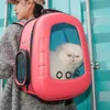 Cat Carriers Crates Houses Pet do Cat ryggsäck dubbel axel ba kattunge transparent utrymme astronaut bärare katt handba valp ryggsäckar transporter produkt l49