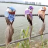 6pcs Birds artificiels mignons faux mousse pour animaux de simulation animale plume tit bricolage artisanat ornement ornement décoration 240416