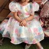 Fluffy Christmas Girls Princess Robe Fleur Année bébé pour enfants Party Péré Prom Robe de bal Tulle Elegant Summer Enfants Robes 240407