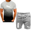 Sportset heren zomer dunne snel drogen hardlopen korte mouwen t-shirt tweedelig casual herenkleding set