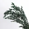 Dekorative Blüten 110 g Eukalyptus Blätter Pflanzen natürliche dehydrierte für Tischdesign Hochzeit getrocknete Blumenstrauß Parti und Dekoration