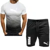 Sportset heren zomer dunne snel drogen hardlopen korte mouwen t-shirt tweedelig casual herenkleding set