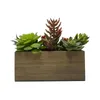 Decorative Flowers Artificial Mixed Succulent Plants In Brown Wood Box Panel De Plantas Artificiales Fake Greenery Classroom Decoration