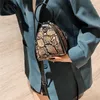 Сумки на плече леопардовый принцип Женщины Bug Bu Кожа модель дизайн моды змея печатная женская треугольная сумочка