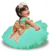 Robes de fille 0-2 ans Born Big Bow Princess Robe brodered Children's Performance Fluffy One Birthday Gift