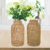 Vases Plant Pot Long Lasting Glass Vase Bedroom Table Water Planting Decoration Home Decor