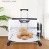 Cat Carriers Catses Pet Trolley Ba Case Carrier for Cats يوسع جرو شفاف Move Ba Travel with Wheels Pet Steam