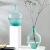 Vazen vloer vaas eenvoudig glas transparant arrangement grote kamer zwart leven hydrocultuur bloem hangende klok thuis grote buik