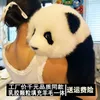 Simulate Giant Panda Flower mignon Orchid Doll Play Play Factory Fubao Dolls Cadeaux en peluche Toy Dolls111