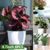 6 Pack Hydroponic Flower Pot Plastic Self Watering Planter Flowerpot Office Garden Plants Basket Nursery Pots Home Decoration 240410