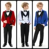 Costumes pour hommes Forces de combinaison monochromatique formelles pour garçons Blazer Vest and Pant Vêtements de vêtements de mariage animal de mariage Hôte de mariage printemps automne 2024